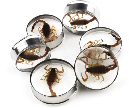 Vista 5 de Tapones para oreja, incrustaciones de escorpión auténtico, de acero inoxidable, túneles de doble llamarada, dilatadores para estirar, piercing