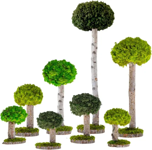 Vista 5 de Plantas reales sin riego, diseño artístico de musgo preservado y decoración, arreglo de plantas verdes naturales para interiores para el hogar