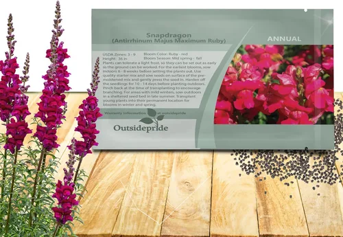Vista 9 de Outsidepride 5000 semillas anuales de flores de dragón naranja para plantar