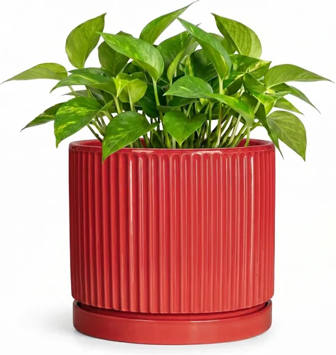 Vista 69 de 8 Inch Flower Pot, Ceramic Planters, Round Plant Pot, Beige