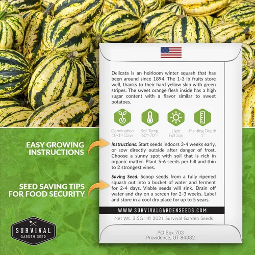 Vista 2 de Semillas de calabaza de invierno Delicata para plantar, 1 paquete