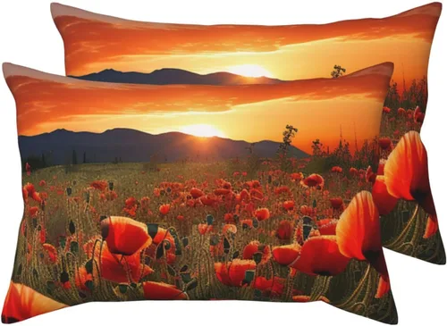 Vista 9 de Juego de 2 fundas de almohada, fundas de almohada de tamaño Queen con diseño de flores arcoíris para cabello y piel, fundas de almohada súper suaves
