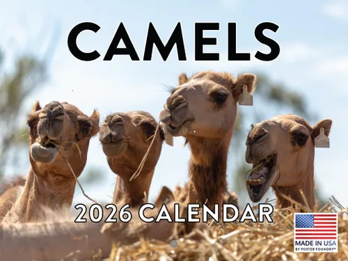 Vista 136 de Calendario mensual de pared de alpaca 2025 Fabricado en Estados Unidos