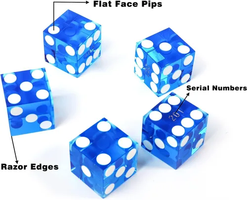 Vista 3 de GSE Games & Sports Expert Juego de mesa de dados de casino. Incluye un fieltro de diseño de dados, 5 dados de casino y un botón de encendido/apagado