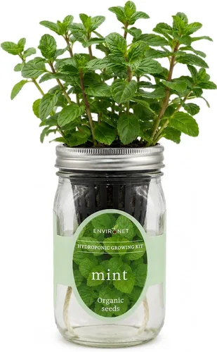 Vista 14 de Kit de Cultivo Hidropónico, Kit de Inicio de Jardín de Hierbas en Frasco Mason con Autoriego para Interiores, Jardín de Hierbas para Alféizar