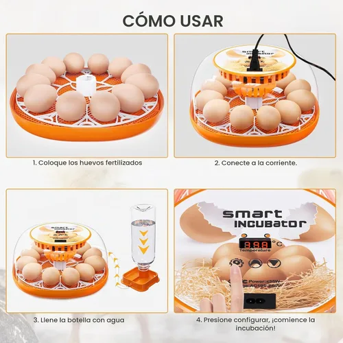 Vista 7 de Incubadora de 12 huevos con giro automático de huevos y control de temperatura, adición automática de agua, vela LED de huevos, incubadoras