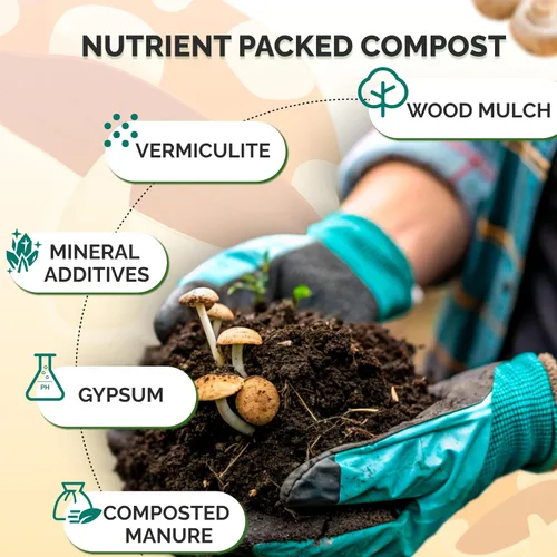 Vista 3 de MycoHaus Compost para cultivo de hongos Sustrato esterilizado para hongos Suelo orgánico de hongos Suministros de cultivo para el hogar 5