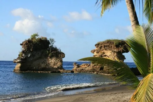 Vista 3 de Scenic Trex Beachside Jungle DVD - Virtual Walking, Cycling, Treadmill Workout