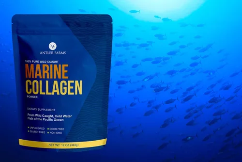 Vista 4 de Antler Farms - Polvo de colágeno marino 100% puro y limpio de Wild Caught Pacific Snapper, 12 onzas – Soluble en líquidos fríos o calientes
