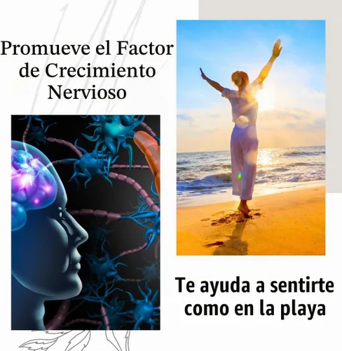 Vista 4 de BioImmune Cápsulas orgánicas de suplemento de melena de leones 120 cápsulas con Patent Litropane™ Immune System Booster Suplemento de hongos