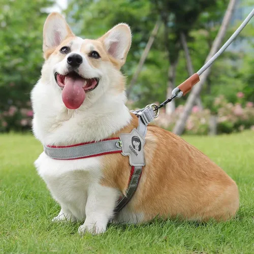 Vista 3 de Arnés para perro, chaleco de servicio antitirones con tiras reflectantes y asa de control, ajustable y cómodo para caminar fácilmente, rojo