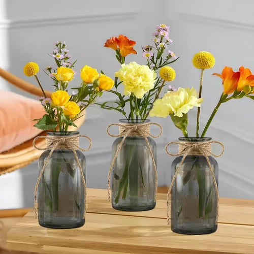 Vista 28 de Jarrones de vidrio vintage para flores, juego de 3 jarrones transparentes para centro de mesa de boda estilo granja, botella cilíndrica