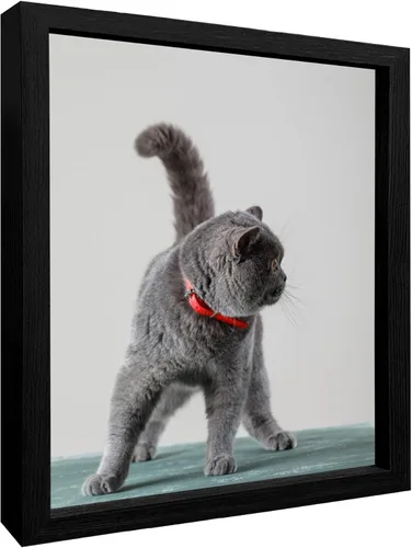 Vista 12 de Impresiones en lienzo personalizadas con tus fotos para mascotas, impresiones de fotos familiares, lienzo personalizado, aleación de aluminio, arte