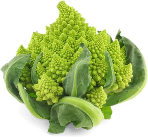 Vista 4 de UtopiaSeeds Romanesco Seeds - Semillas Romanesco de Brócoli - Semillas de coliflor Romanesco