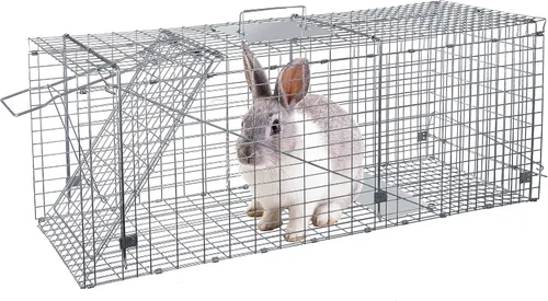 Vista 3 de ANT MARCH Trampa de jaula para animales vivos con guantes de 37 x 13.5 x 14.5 pulgadas, jaula grande de acero para roedores para conejos, gatos