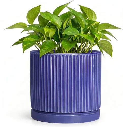 Vista 31 de 8 Inch Flower Pot, Ceramic Planters, Round Plant Pot, Beige
