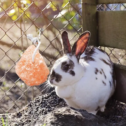 Vista 7 de PINVNBY Bloques de sal para conejos, 4 piezas de mascotas pequeñas del Himalaya lamen sal bloque de sal sales minerales naturales con gancho