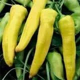 Vista 2 de Semillas de vegetales de plátano dulce y pimienta (100 semillas)