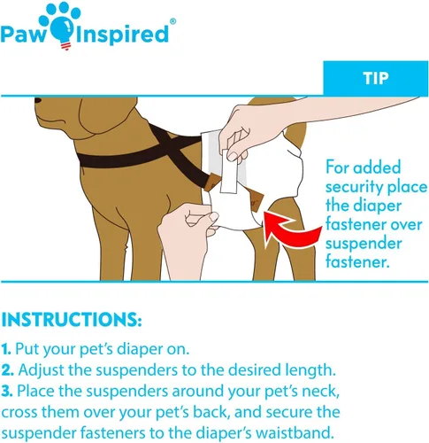 Vista 6 de Paw Inspired Tirantes de pañales para perros con cierres de velcro Tirantes elásticos ajustables para pañales desechables y lavables para mujeres