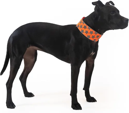 Vista 2 de SafetyPUP XD Collar reflectante para perro – Collar de perro naranja resplandeciente, cierre ajustable para un collar personalizable de alta