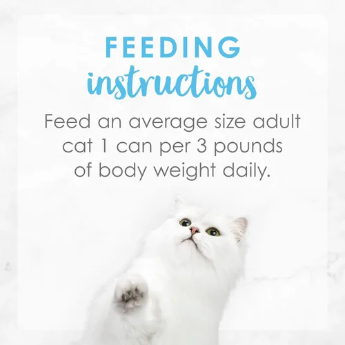 Vista 8 de Comida Purina Fancy Feast húmeda, enlatada, para gato adulto
