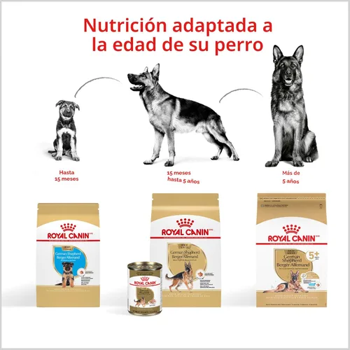 Vista 8 de Royal Canin Breed Health Nutrition - Alimento seco para perros pastor alemán, 2.5 libras