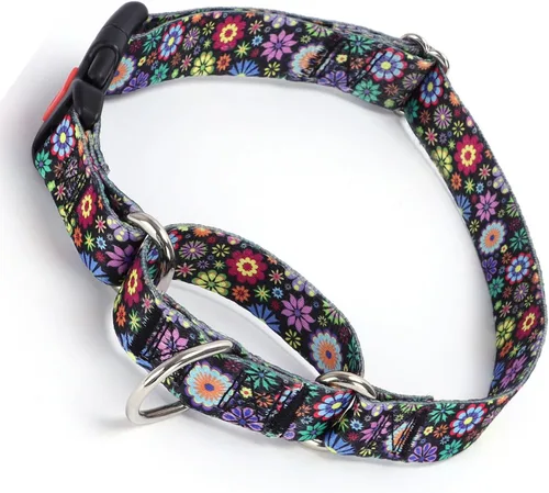 Vista 13 de Collar Martingale para perros con hebilla, antideslizante, a prueba de escapes, collares limitados para mascotas, cierre a presión con cierre