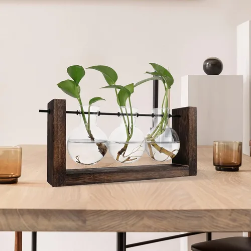 Vista 5 de Terrario para plantas con soporte de madera, jarrón de propagación de mesa, macetas hidropónicas de vidrio, maceta de aire, florero de vidrio