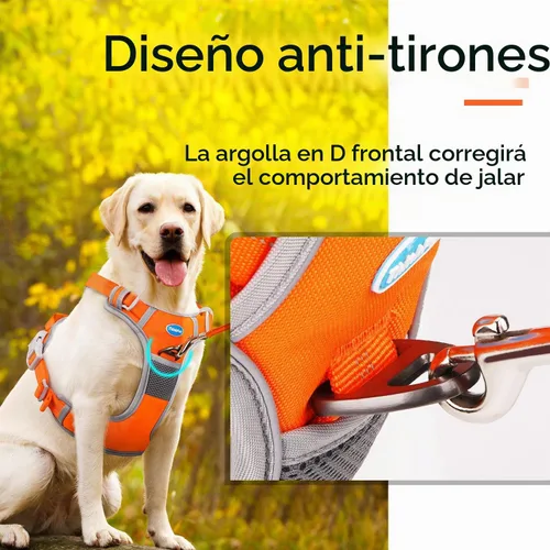 Vista 2 de ThinkPet - Arnés deportivo transpirable sin tirones con asa, arnés reflectante ajustable para perros medianos y grandes, clip trasero y frontal