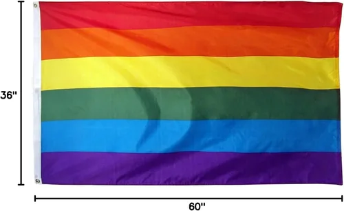 Vista 5 de Bandera gay arcoíris para exteriores, bandera del orgullo gay de 3 x 5 pies