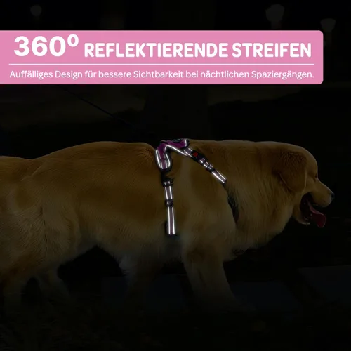 Vista 6 de FURRYFECTION - Arnés para perro a cuadros con correa y cinturón de Rosa