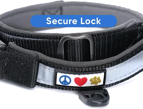 Vista 7 de Pawtitas Cuello ajustable reflectante para perro, Collar para perro acolchado, Negro