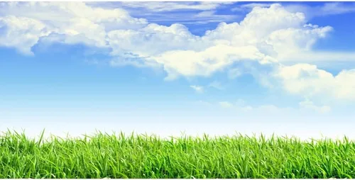 Vista 9 de Leyiyi Fondo de fotografía de pastizales de primavera de 4 x 4 pies, planta de jardinería, prado, cielo, nube, punto de luz, pradera del norte