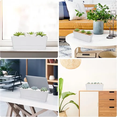 Vista 6 de GREANER - Maceta con bandeja para hierbas, 1 unidad, 12 x 3.8 pulgadas, caja rectangular para ventana, para flores o suculentas en interiores