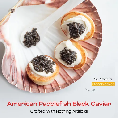 Vista 2 de Envío nocturno – Olma American Paddlefish Black Caviar – Perlas grises medianas, sabor suave – 1 oz / 28 g