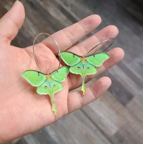 Vista 4 de Moth Butterfly Hook Earrings Insect Green Wings Drop Earrings For Women Girls