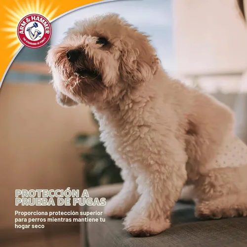 Vista 4 de Arm & Hammer Bandas para el vientre para perros machos pequeños, 12