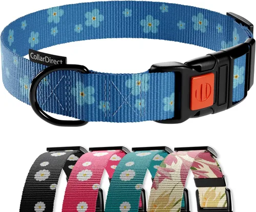 Vista 8 de Collar de perro de nailon con patrón floral aguamarina de 12 a 16 pulgadas