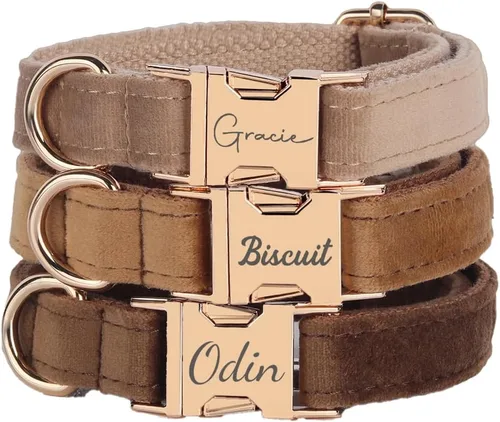 Vista 7 de Juego de arnés de terciopelo, regalo para dueños de mascotas, collar personalizado con nombre y número de teléfono, collar y correa personalizados