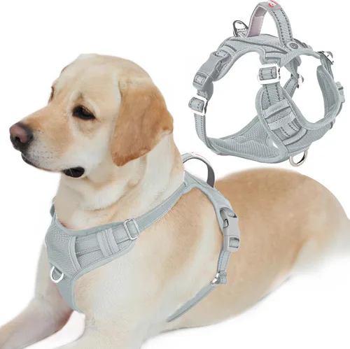 Vista 62 de BARKBAY Arnés Oxford sin tirones para perro con bolsillo para etiqueta de identificación, resistente, reflectante, fácil control para perros grandes