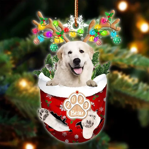 Vista 28 de NAZENTI Adorno Navideño de Bolsillo Personalizado de Affenpinscher en la Nieve, Adorno de Forma Acrílica de Perro, Adorno de Navidad 2023, Adorno