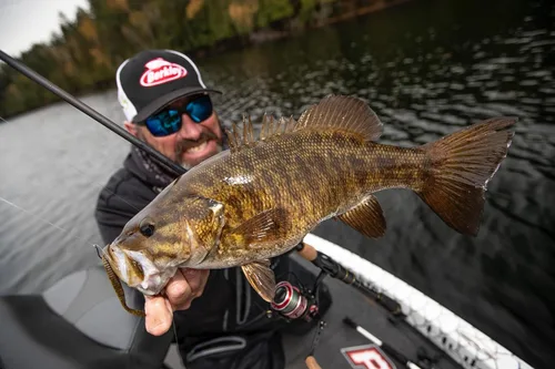 Vista 9 de Berkley Berkley PowerBait MaxScent Flat Worm Parte trasera marrón