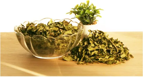 Vista 4 de Polvo de extracto de hoja de caqui puro natural orgánico -10.58 onzas (10.58 oz)
