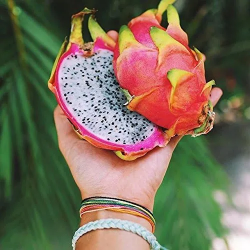 Vista 4 de Pura Vida - Pulsera 100 % impermeable, hecha a mano, con dije revestido y correa ajustable