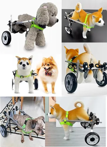 Vista 2 de Silla de ruedas para perro, 2 ruedas, silla de ruedas para mascotas para patas traseras, cochecito ligero para ejercicio de extremidades traseras