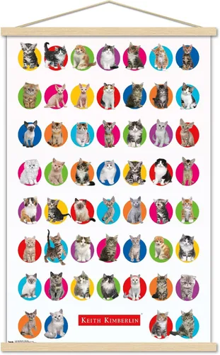 Vista 16 de Trends International Keith Kimberlin - Póster de pared de cuadrícula de gatito, 14.725 x 22.375 pulgadas, versión enmarcada de madera de granero