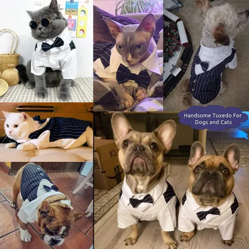 Vista 4 de Camisa para perro, ropa de esmoquin para mascotas, disfraz de corbatín, ropa formal para perros con corbata, corbata de moño de boda para cachorros