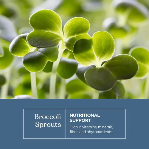 Vista 3 de Brotes de brócoli de vidrio ecléctico FDV, 50