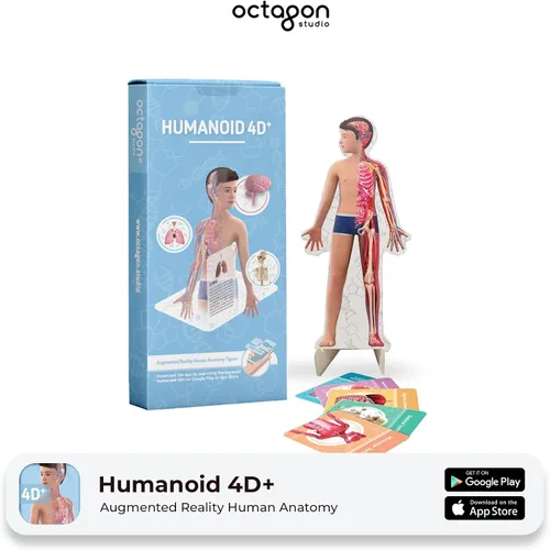 Vista 2 de Octagon Studio Tarjetas 4D humanoides para aprendizaje STEM en casa