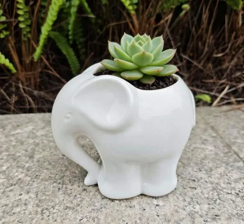 Vista 4 de Maceta de cerámica con forma de elefante, bonito recipiente para suculentas/cactus en forma de animal para decoración del hogar (4 pulgadas, blanco)